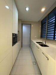 Residences @ Killiney (D9), Apartment #466429981
